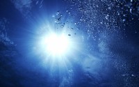 世界拳击职业联赛赛季后球员数据平台上线，2020年世界拳击